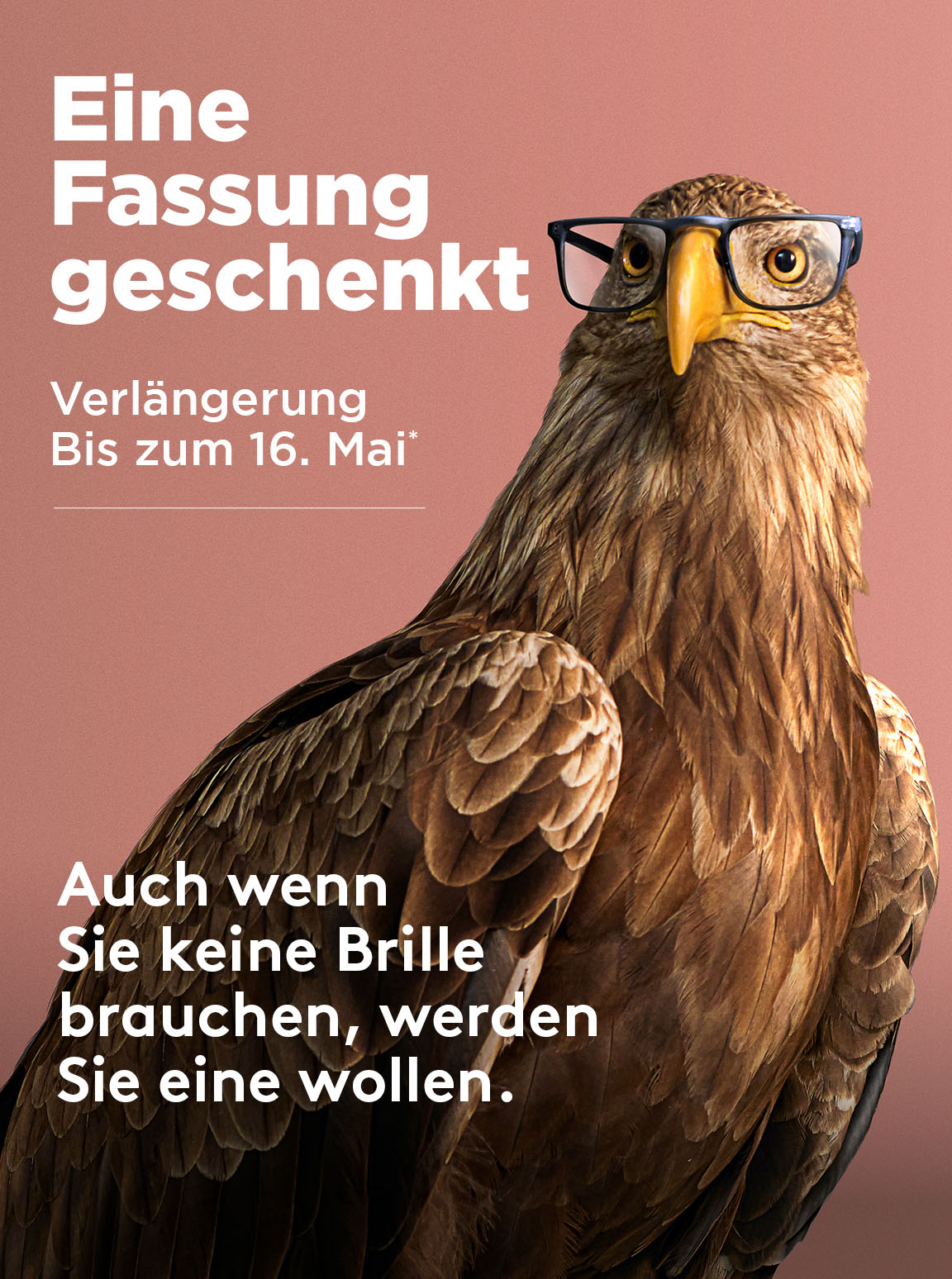 O2 Mobile Mo Prolongation De 800x616 1