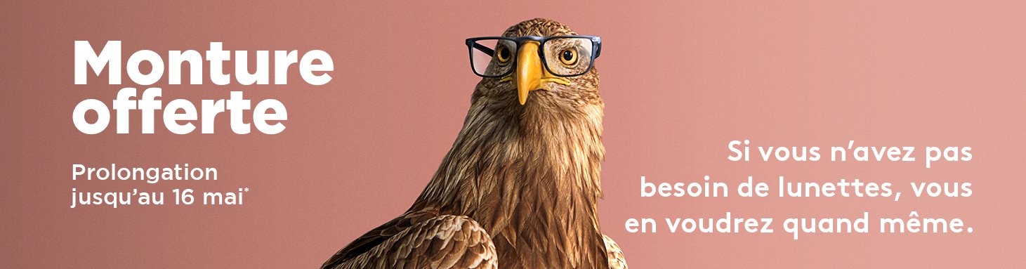 O2 Mobile Mo Prolongation Fr 1461x383 1