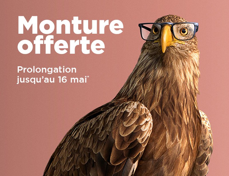O2 Mobile Mo Prolongation Fr 800x616 1