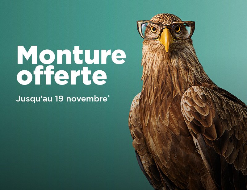 O2 Mobile Mo Prolongation Fr 800x616 1
