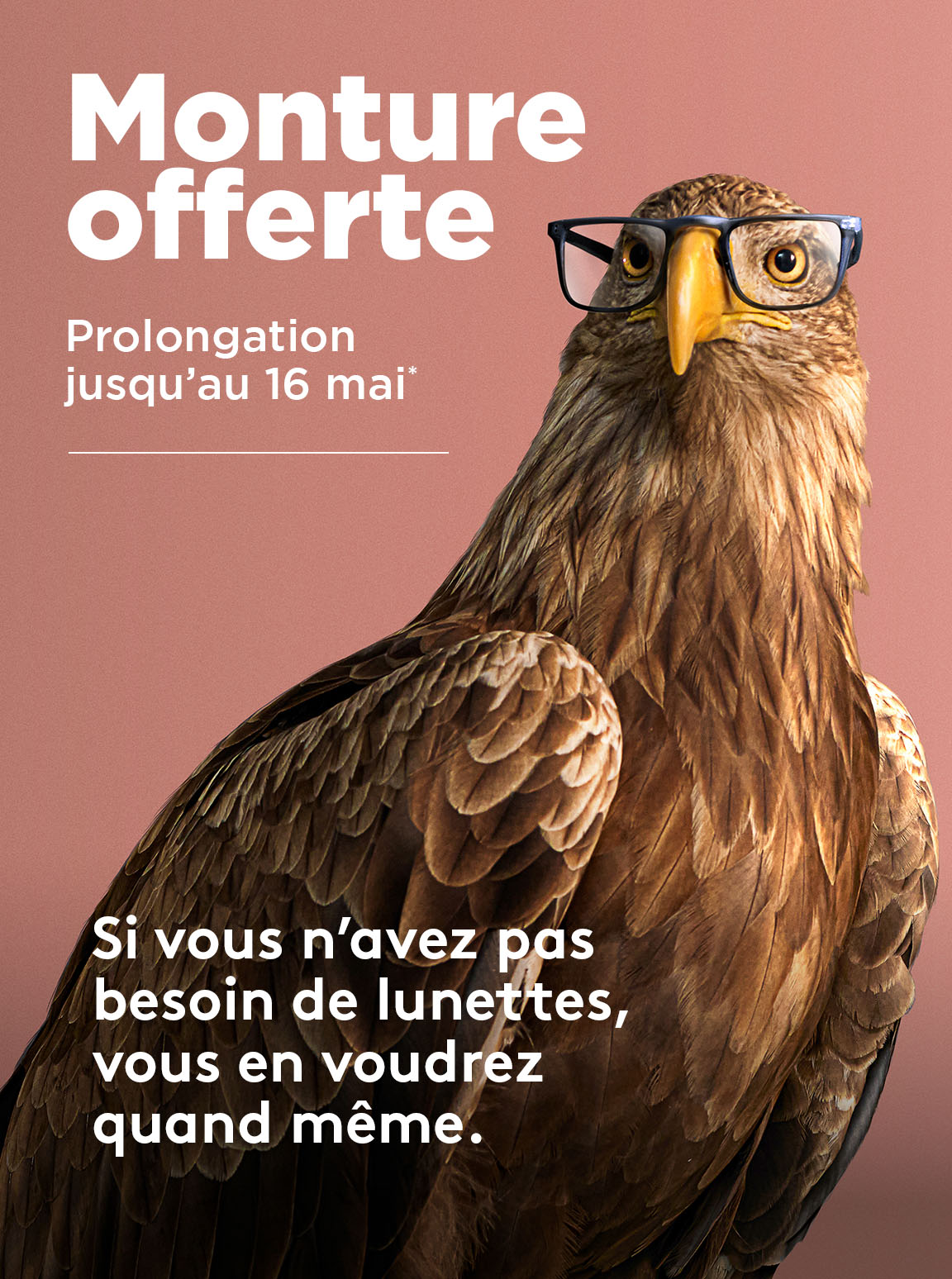 O2 Mobile Mo Prolongation Fr 800x616 1