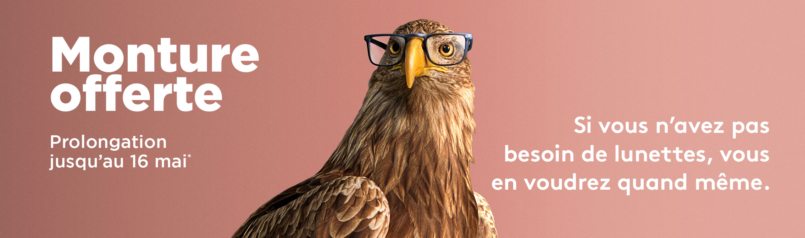 O2 Web Mo Prolongation Fr 2560x758 1