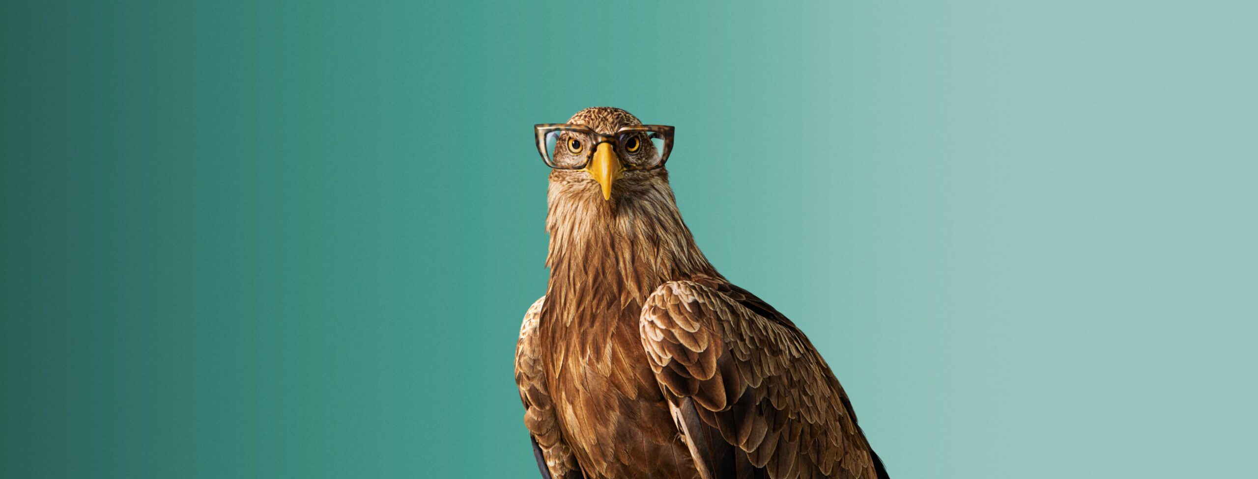 Optic 2000 Offre Monture Offerte Page Opticien Desktop