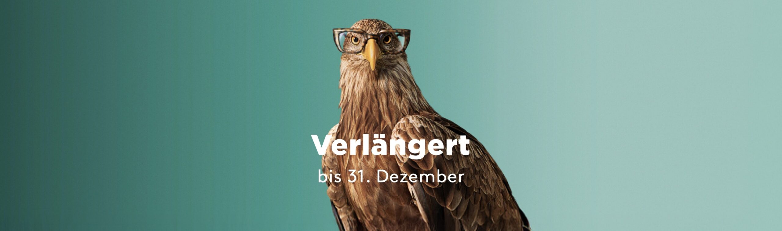 Optic2000 Offre Bandeau Monture Offerte Desktop De