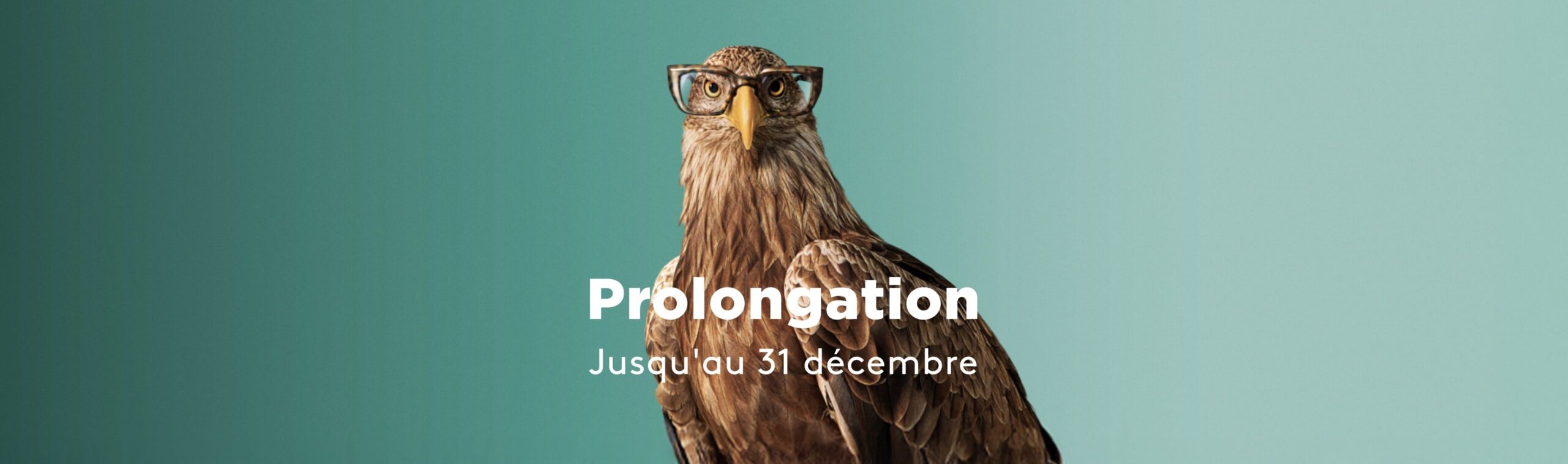 Optic2000 Offre Bandeau Monture Offerte Desktop Fr