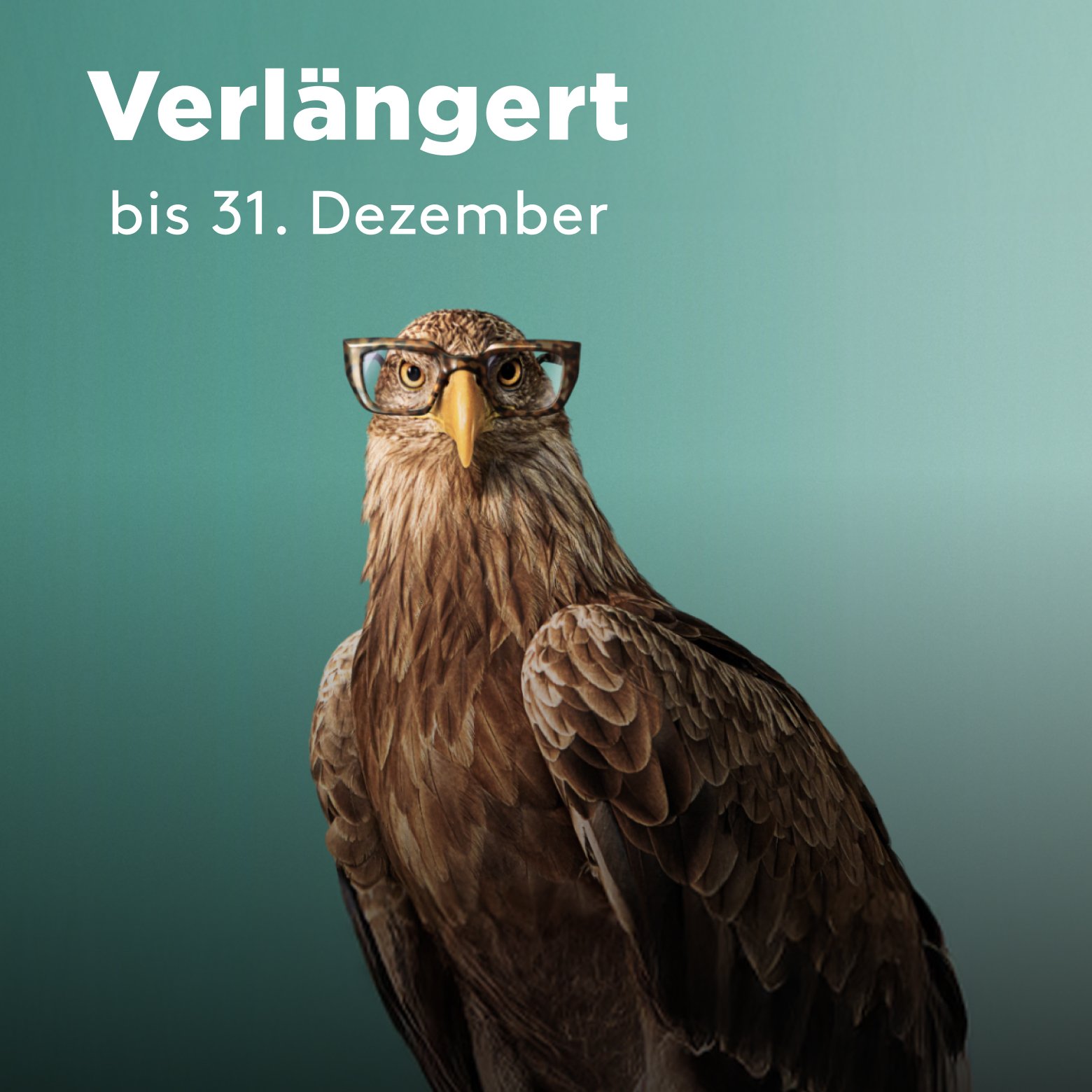 Optic2000 Offre Bandeau Monture Offerte Mobile De