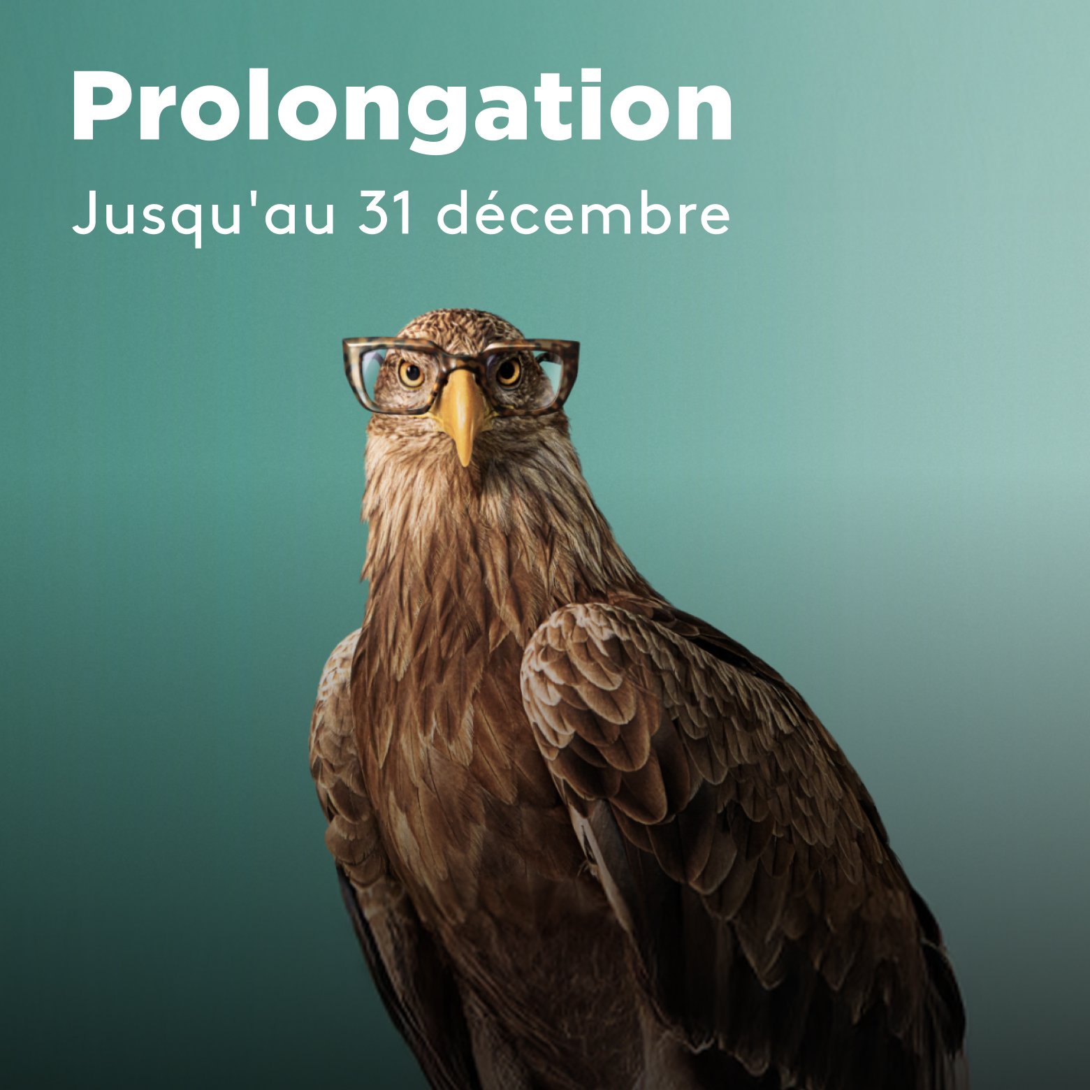 Optic2000 Offre Bandeau Monture Offerte Mobile Fr