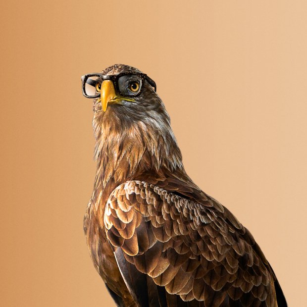 Optic2000 Offre Miniature Monture Offerte Mobile