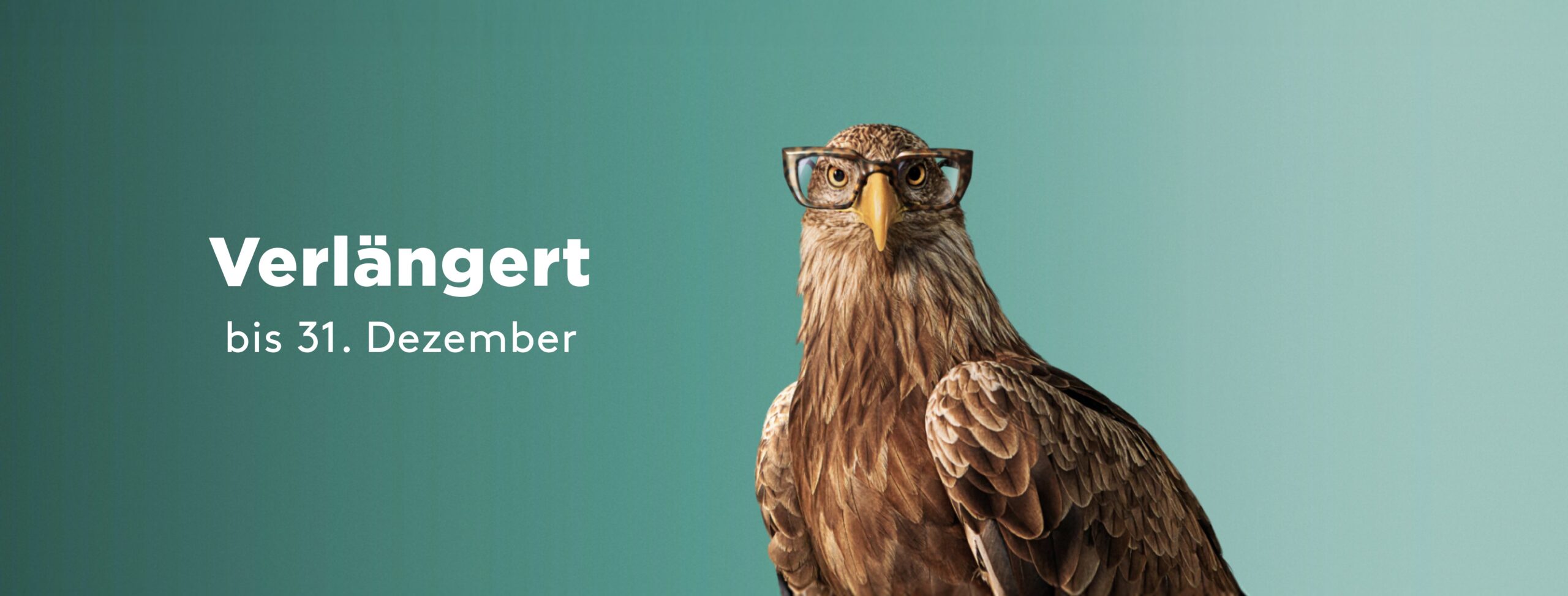 Optic2000 Opticien Bandeau Monture Offerte Desktop De