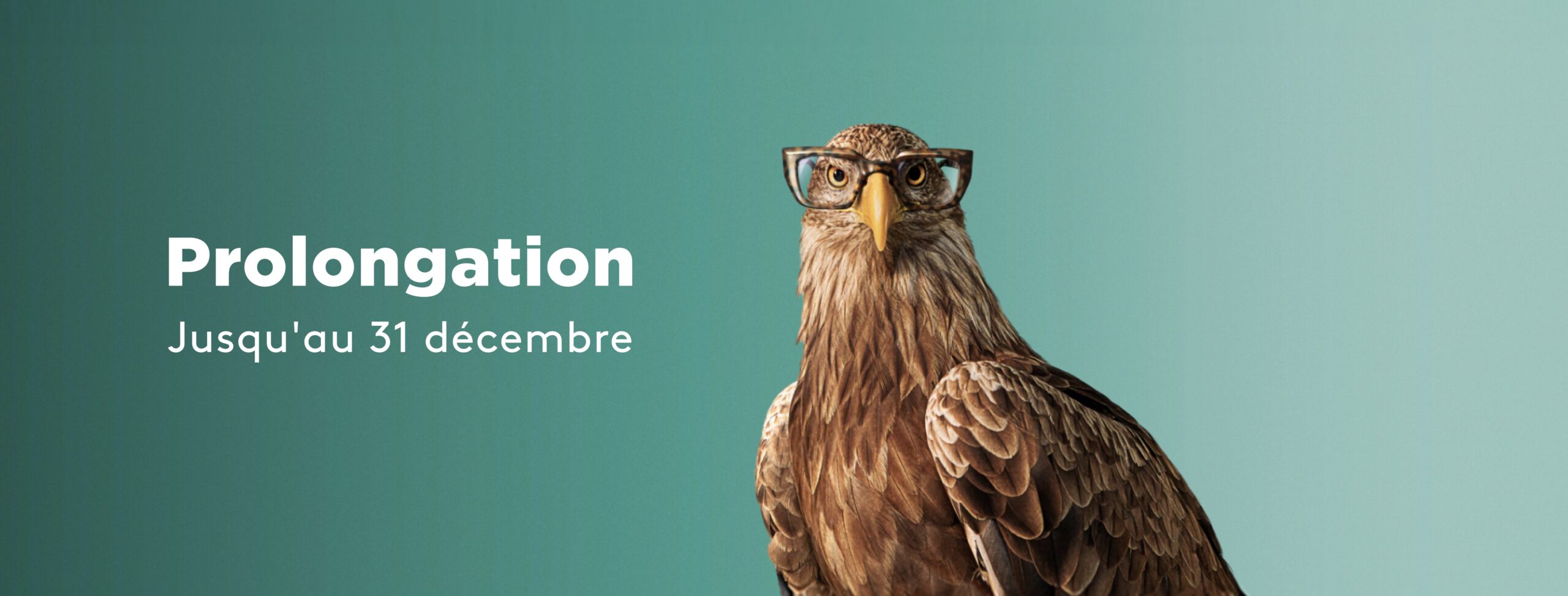 Optic2000 Opticien Bandeau Monture Offerte Desktop Fr