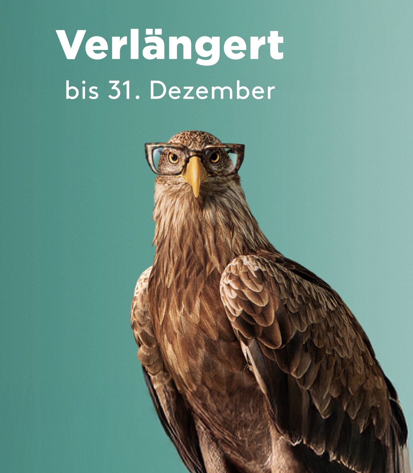 Optic2000 Opticien Bandeau Monture Offerte Mobile De