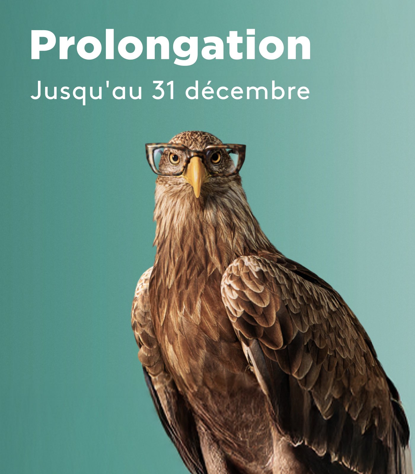 Optic2000 Opticien Bandeau Monture Offerte Mobile Fr