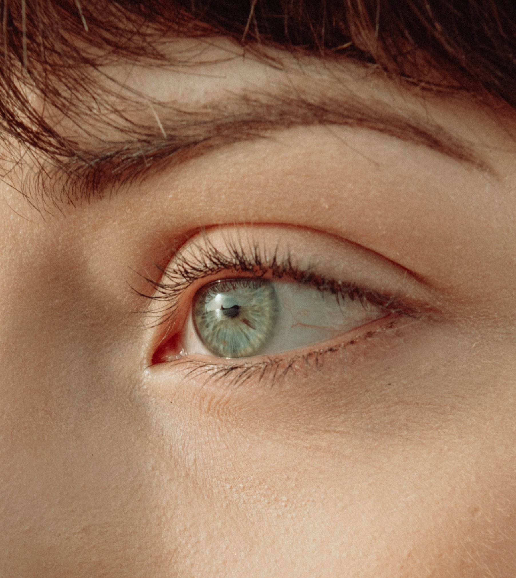 Optic 2000 Home Vision Style Lentilles Automne 2025
