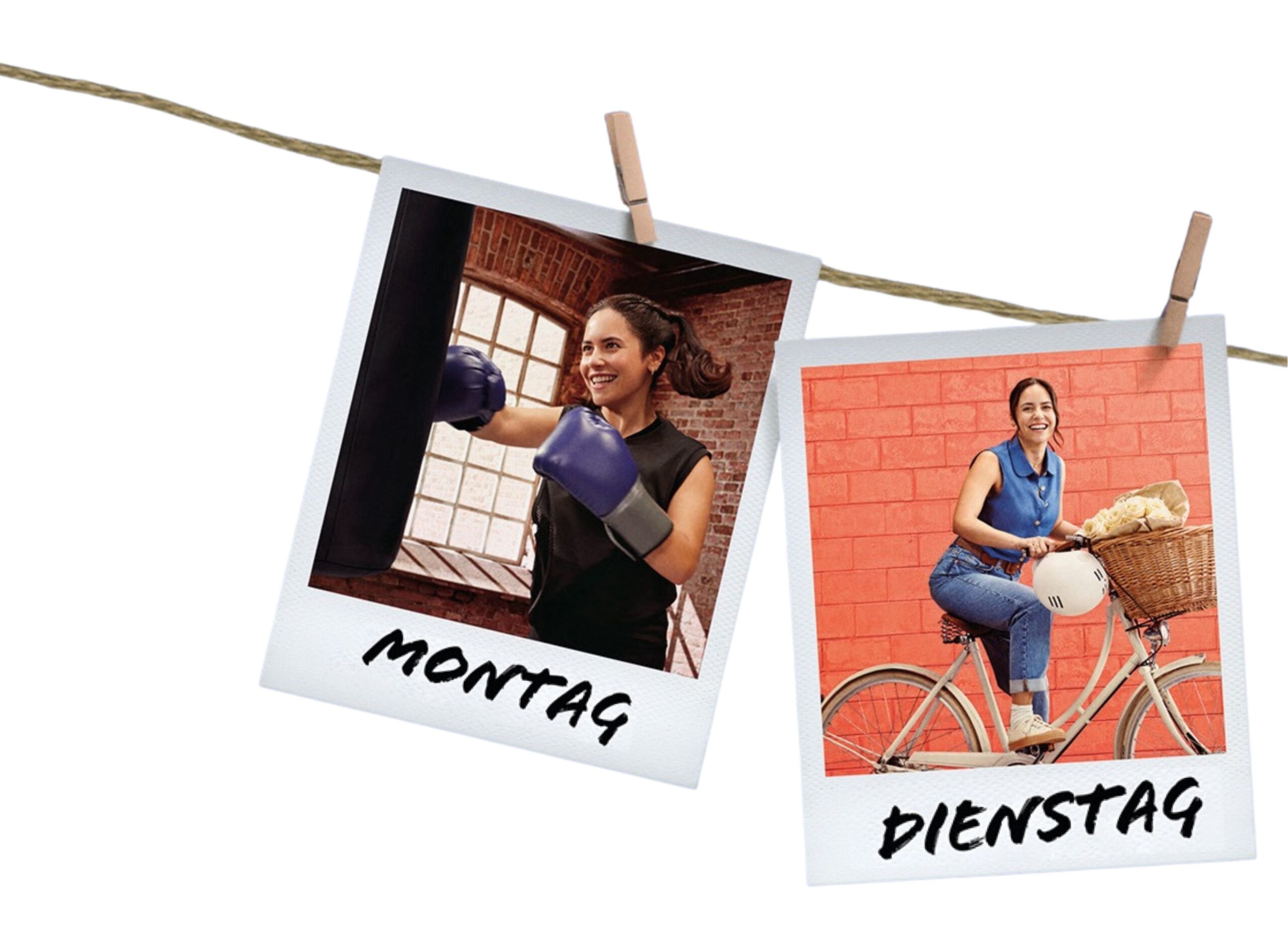 011 2025 Al P7 Broschuere Fr Rz.pdf (5)