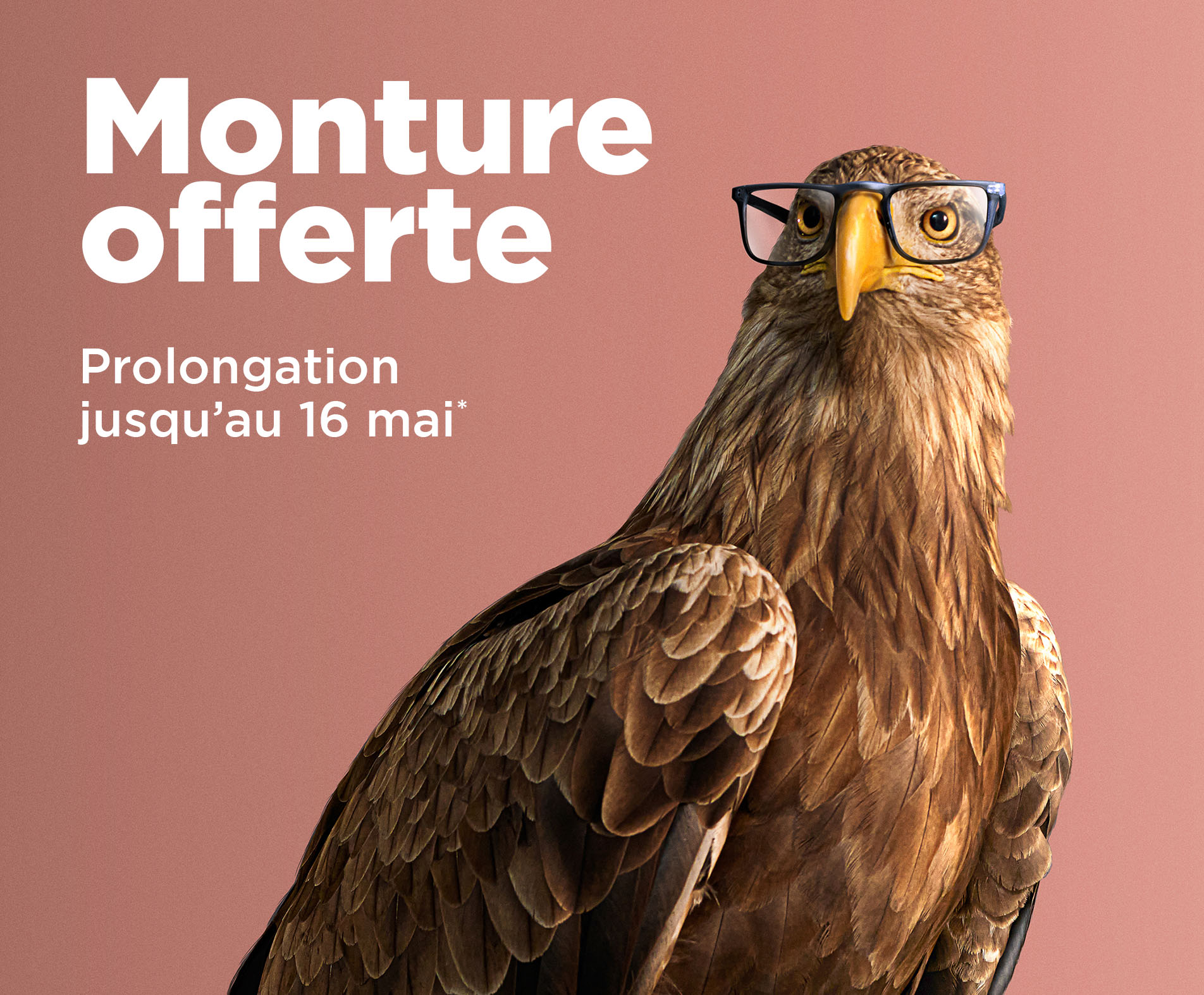 O2 Web Mo Prolongation Fr 1904x1573 1