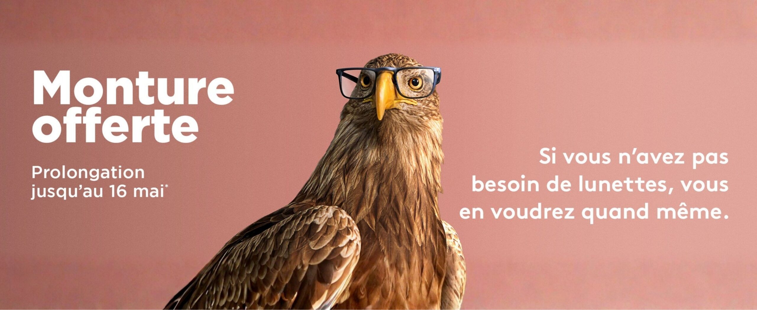 Optic 2000 Menu Mobile Prolongation Monture Offerte