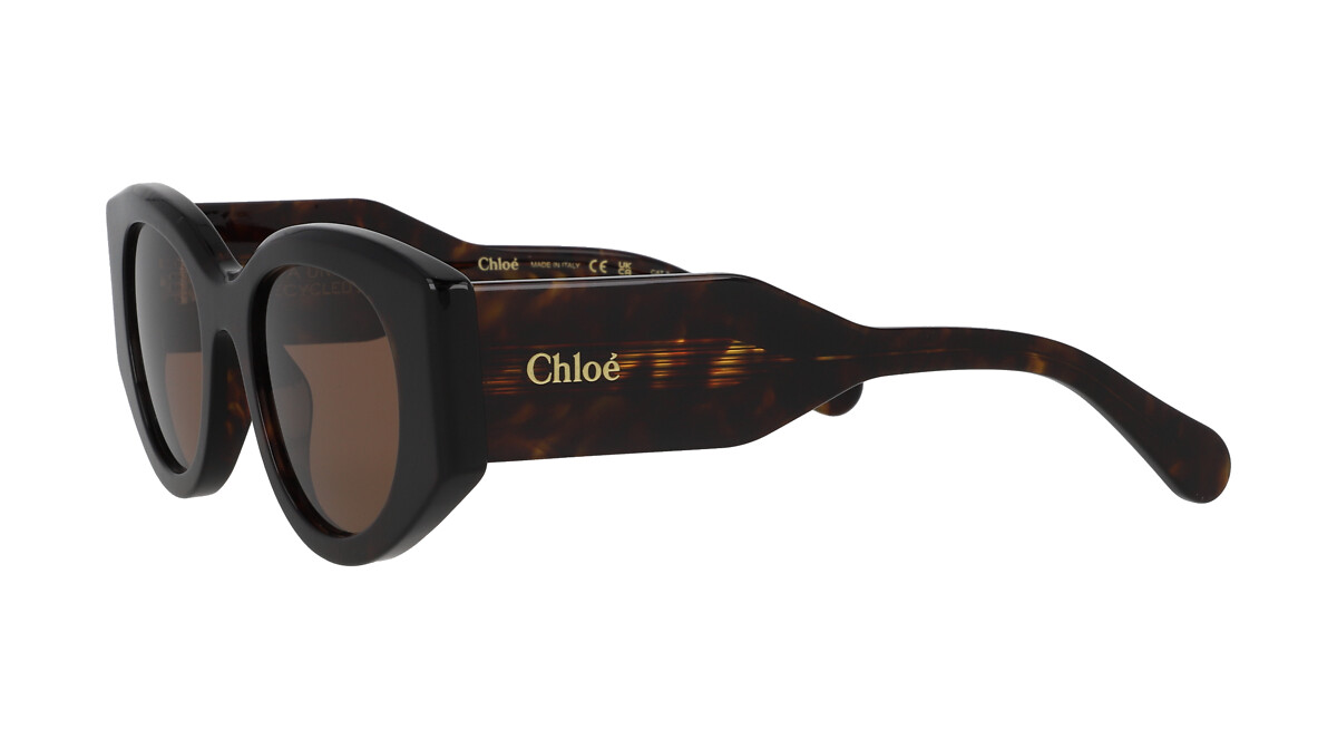 Chloé CH0251S Ecaille