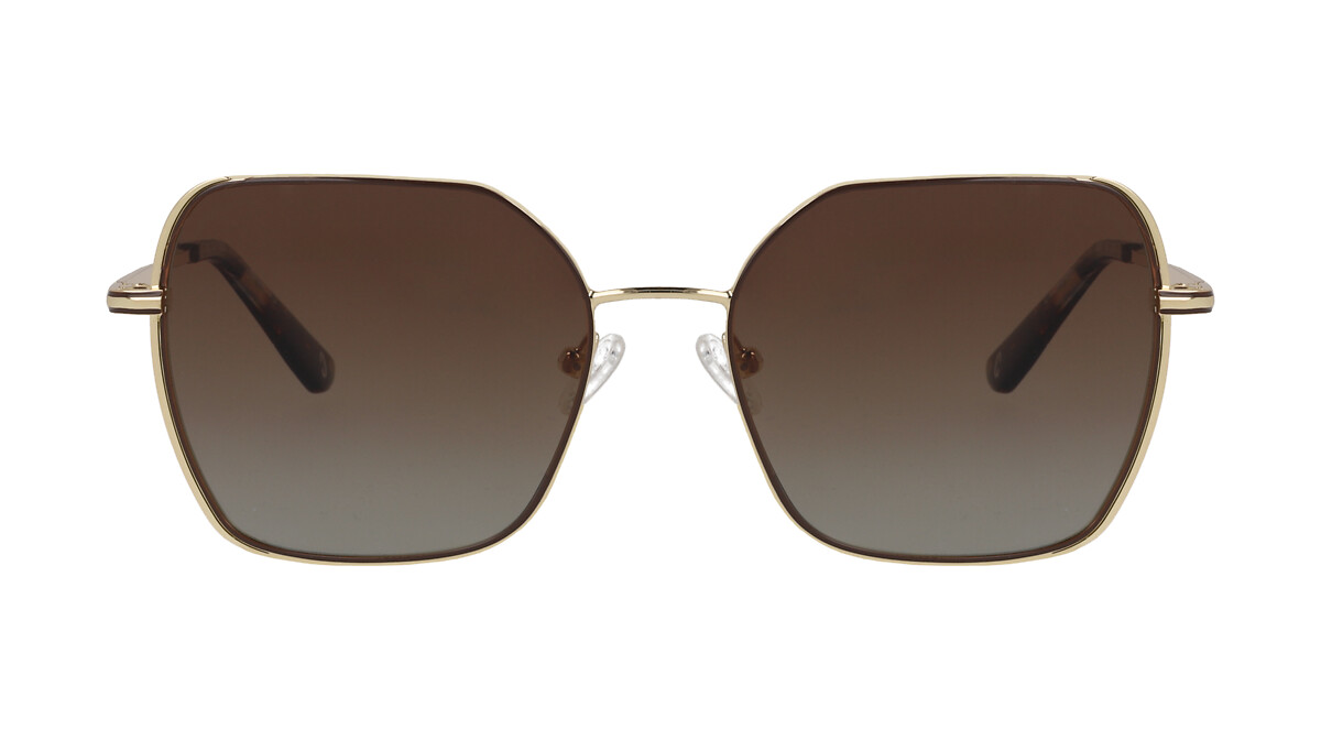 Cosmopolitan CM2401 Marron