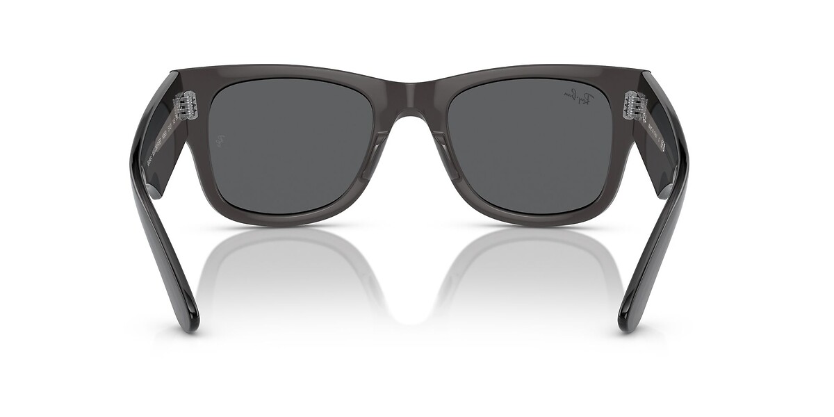 Ray-Ban RB0840S Noir