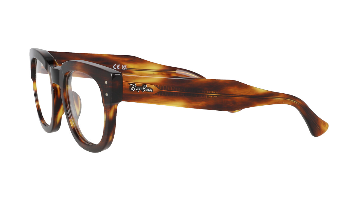 Ray-Ban RX0298V Ecaille
