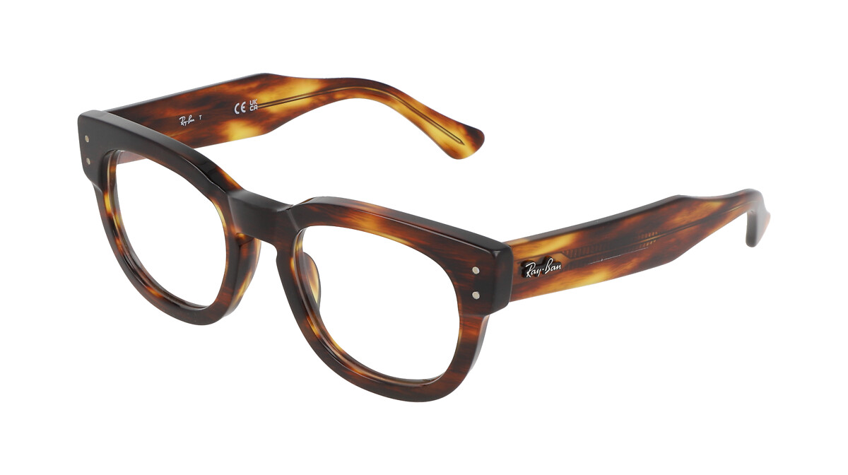 Ray-Ban RX0298V Ecaille