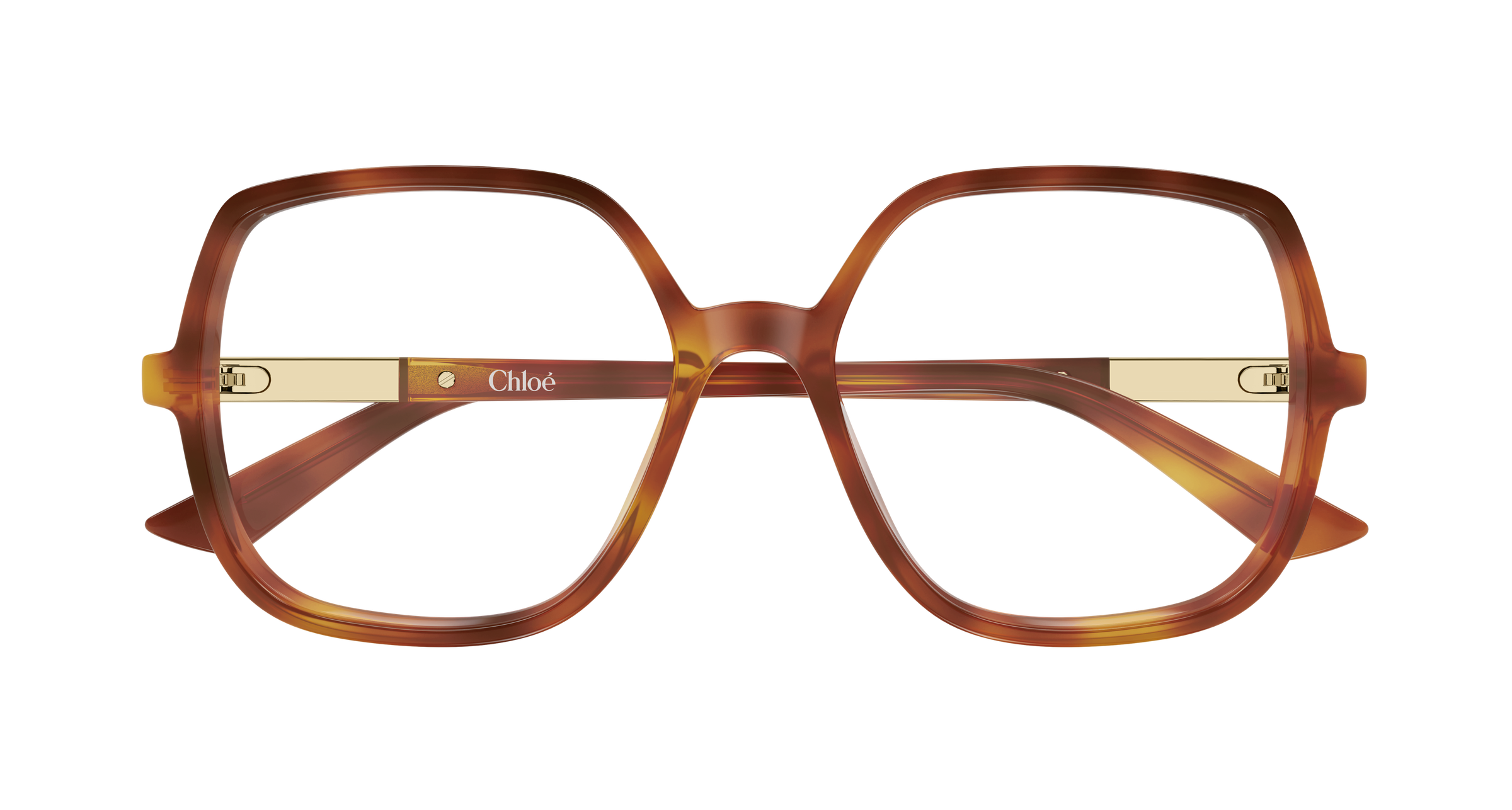 Chloé CH0368O Ecaille