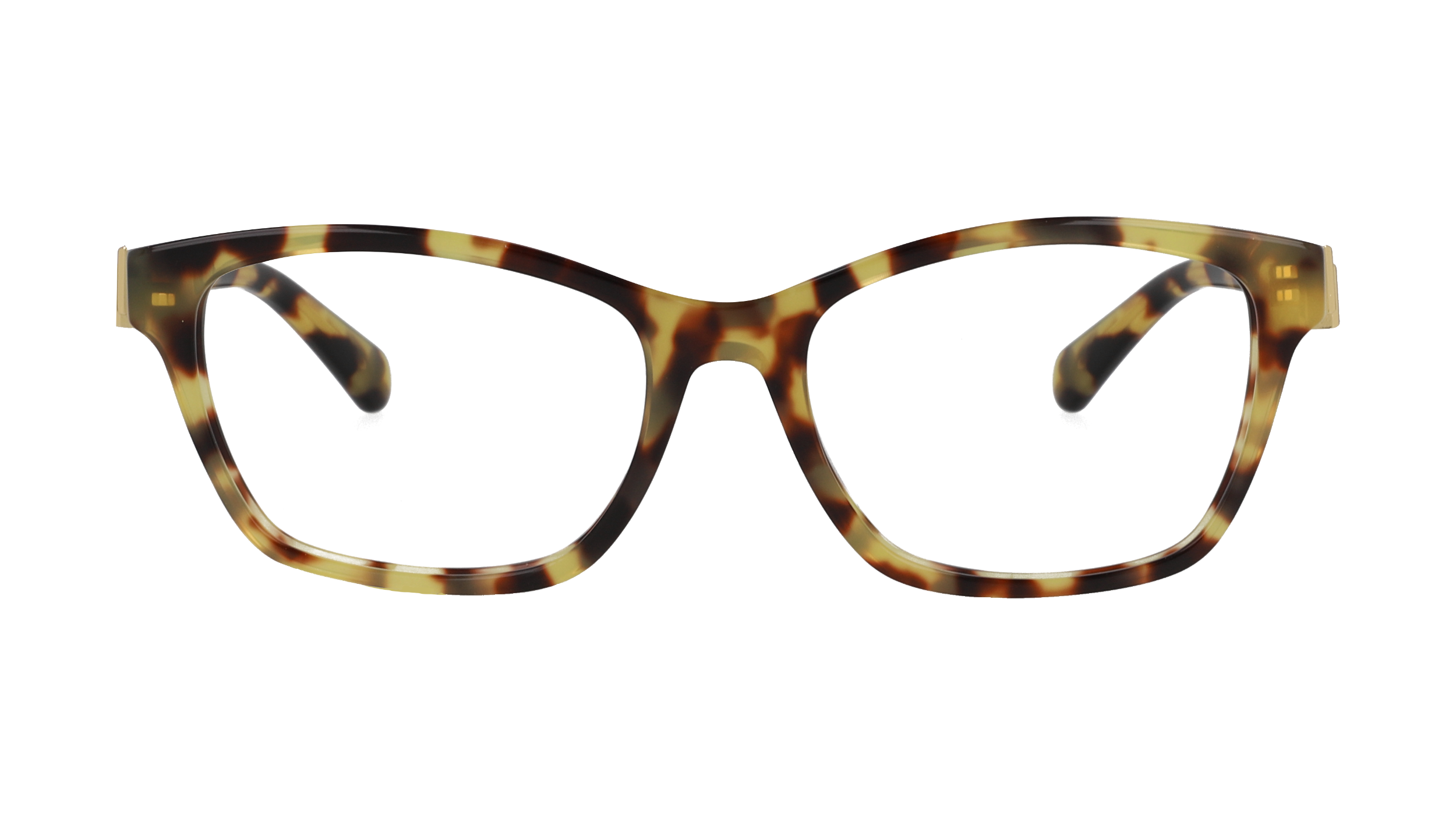 Ralph Lauren RL6243 Ecaille