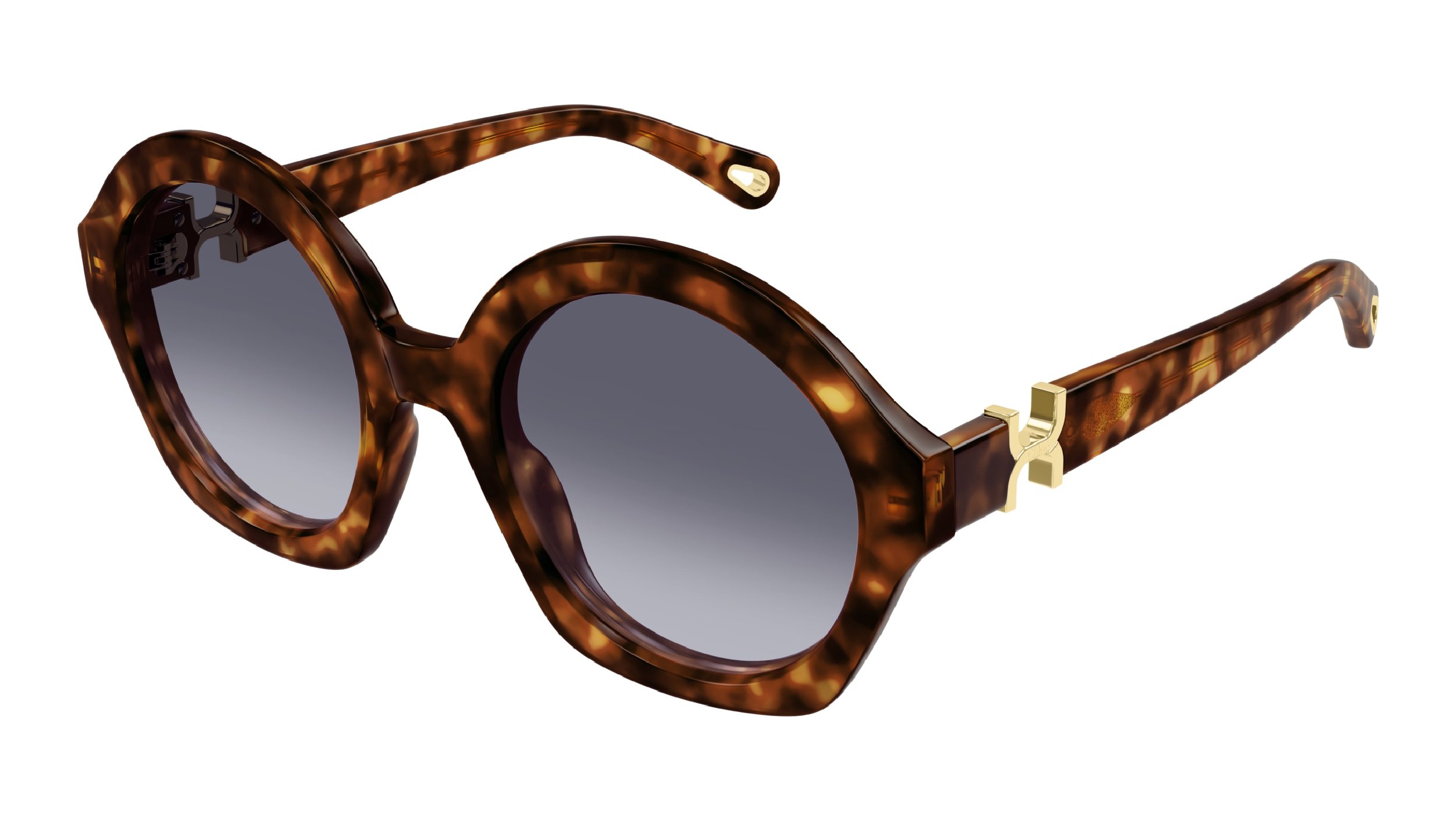 Chloé CH0302S Ecaille