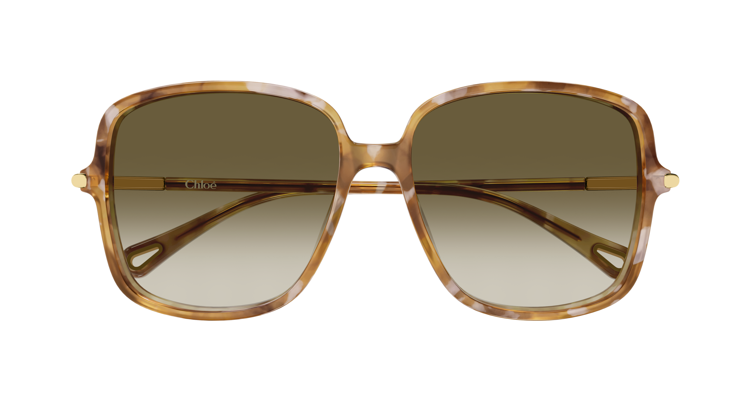 Chloé CH0396S Ecaille