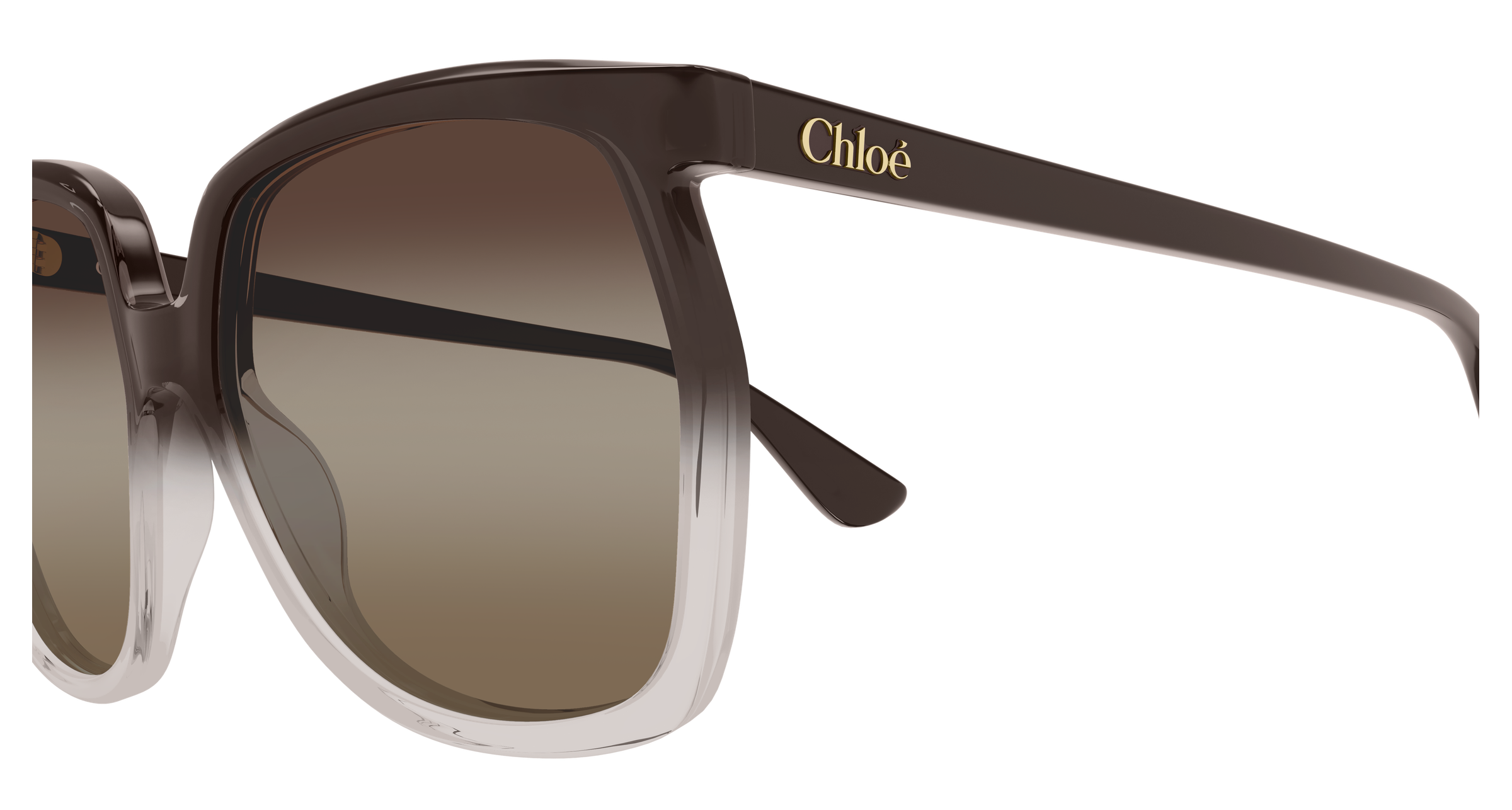 Chloé CH0389S Marron