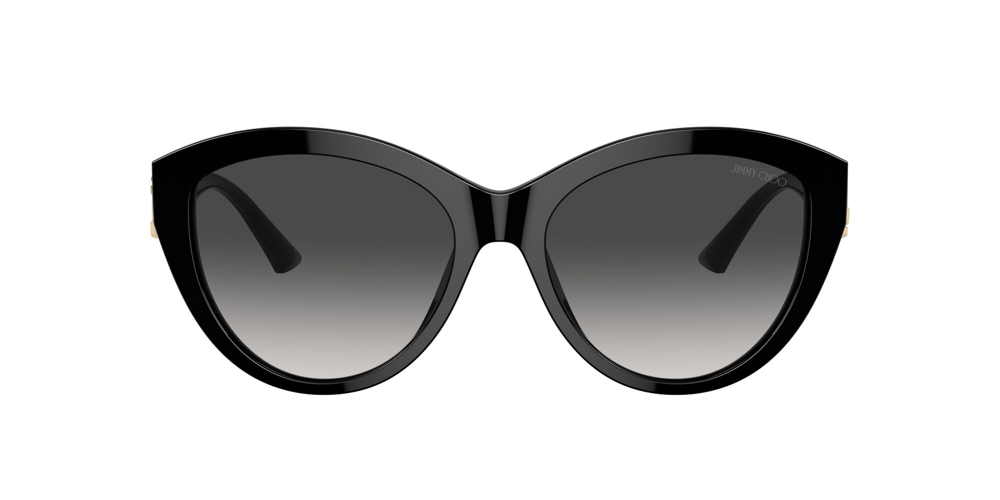 Jimmy Choo JC5007 Noir
