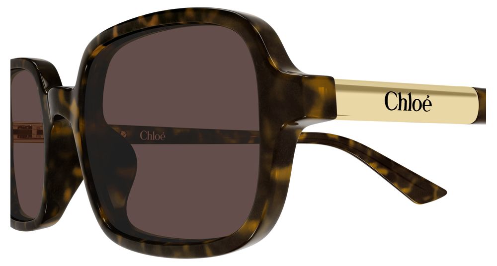 Chloé CH0363S Ecaille