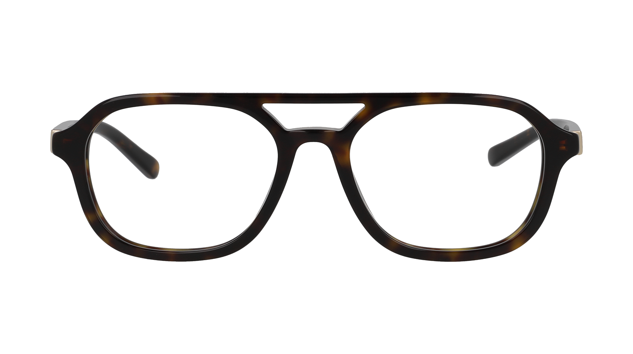 Gucci GG1673O Ecaille