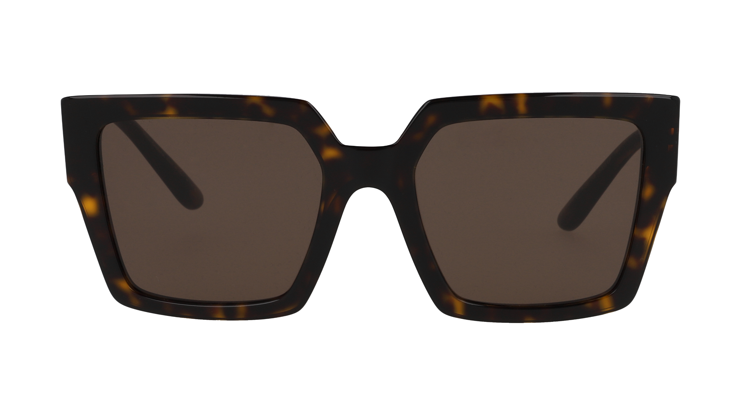 Dolce & Gabbana DG4446B Ecaille