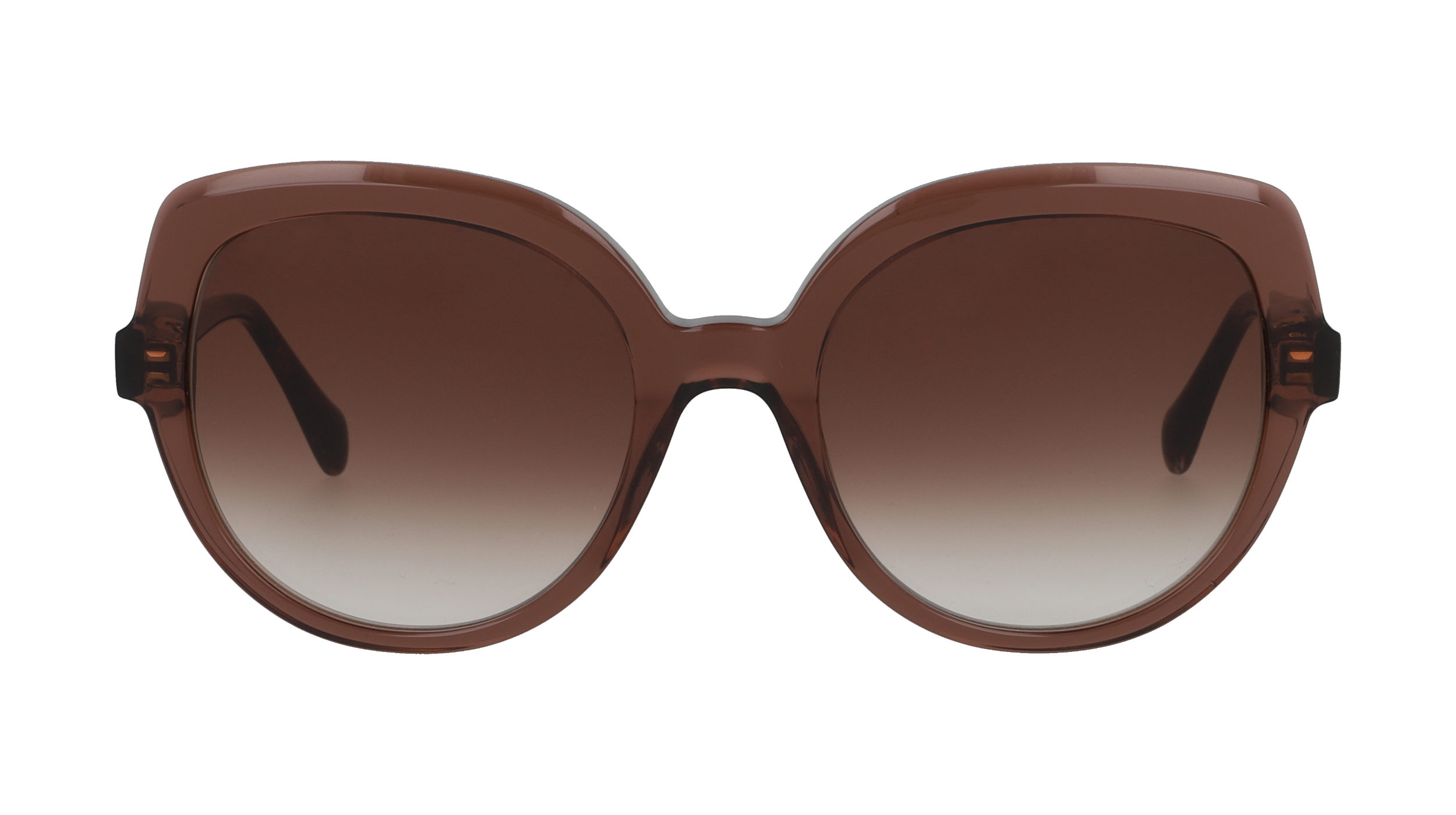 Drew. S DSF2632 Brun