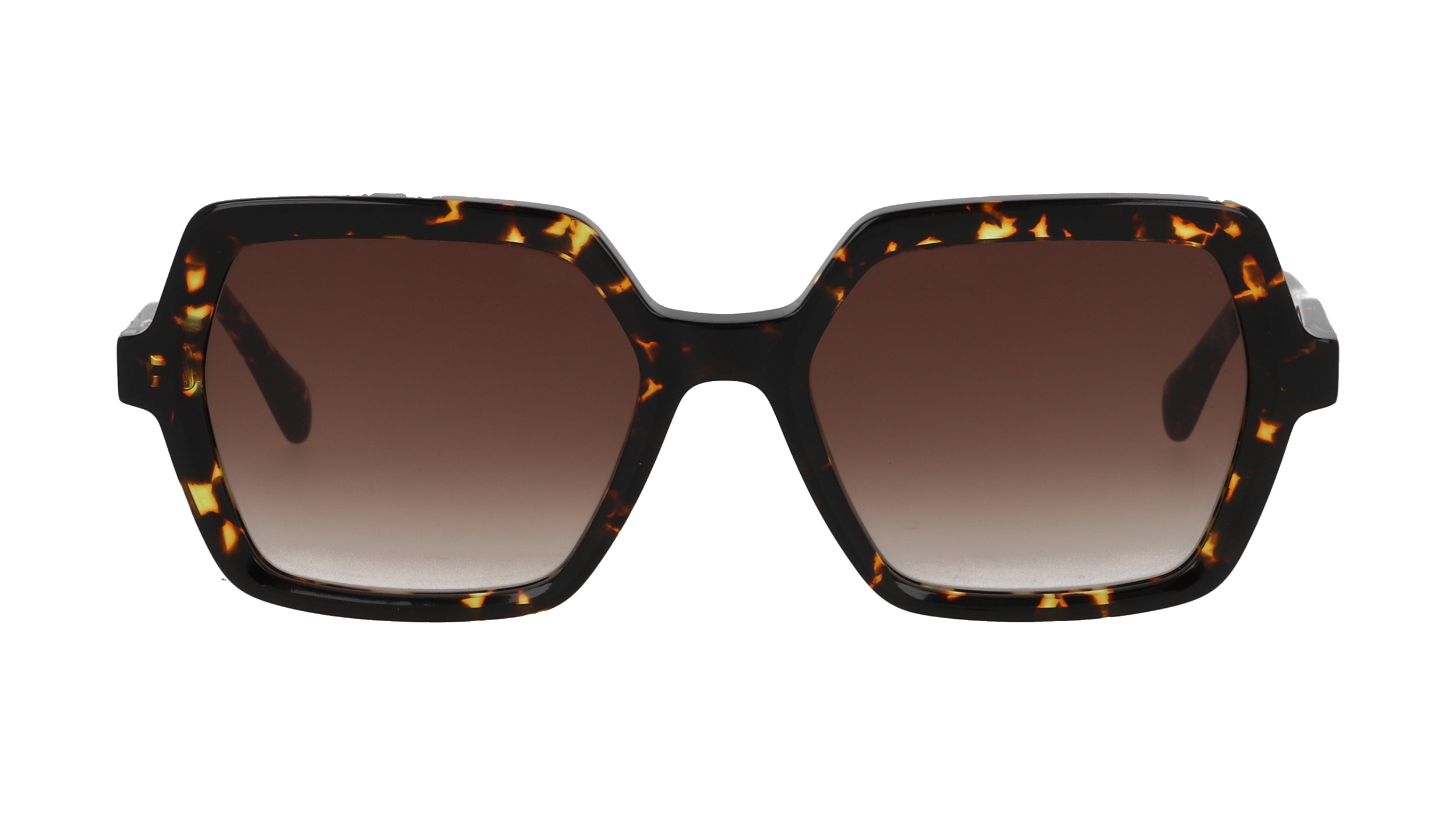 Drew. S DSF2631 Ecaille