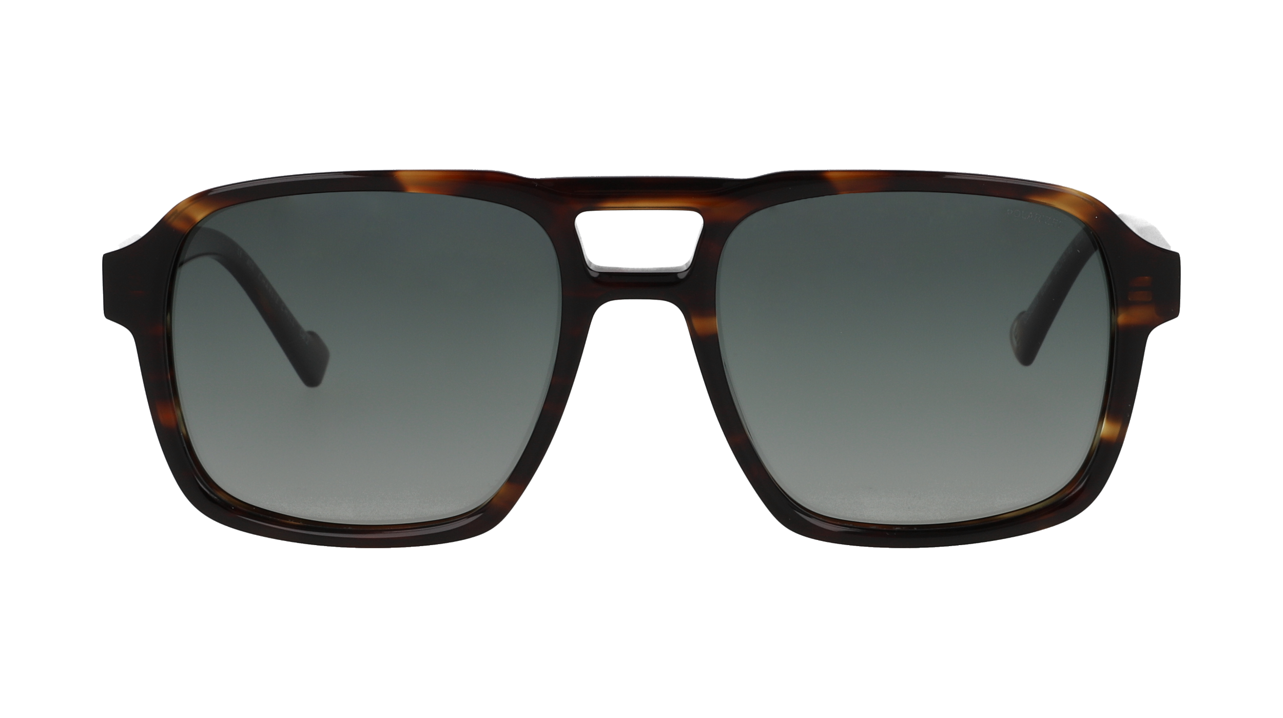 Charlie Chill CCS2603 Ecaille