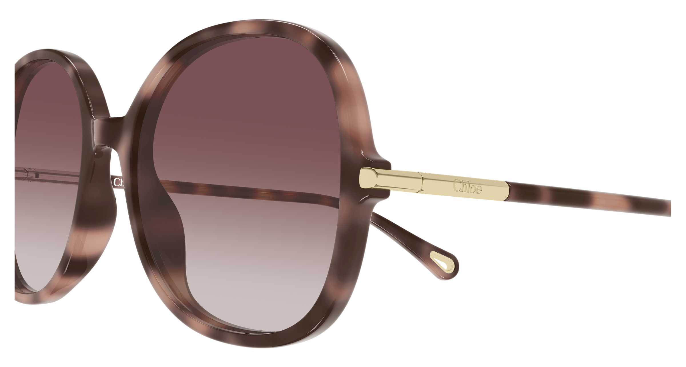 Chloé CH0383S Ecaille