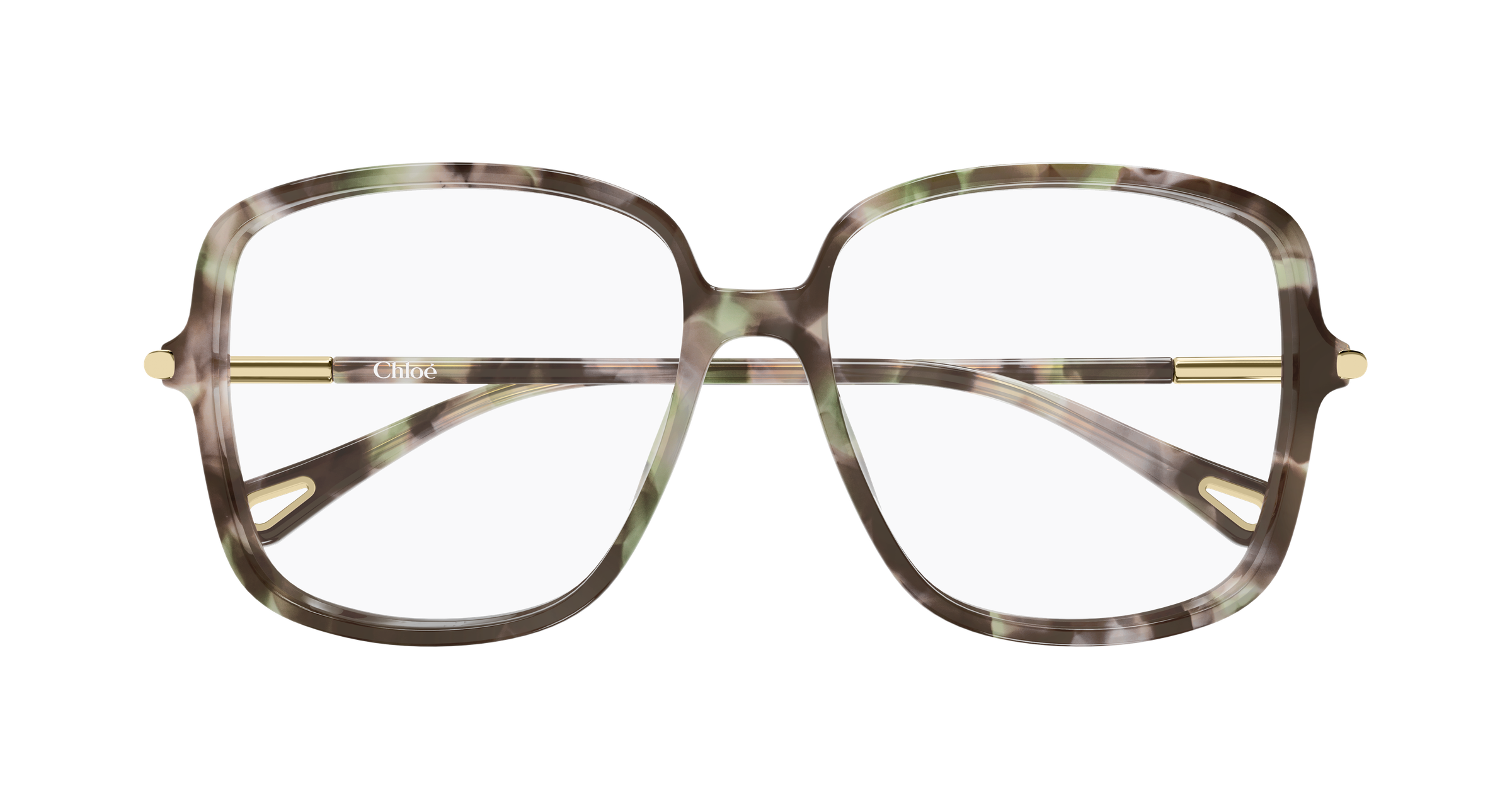 Chloé CH0399O Ecaille