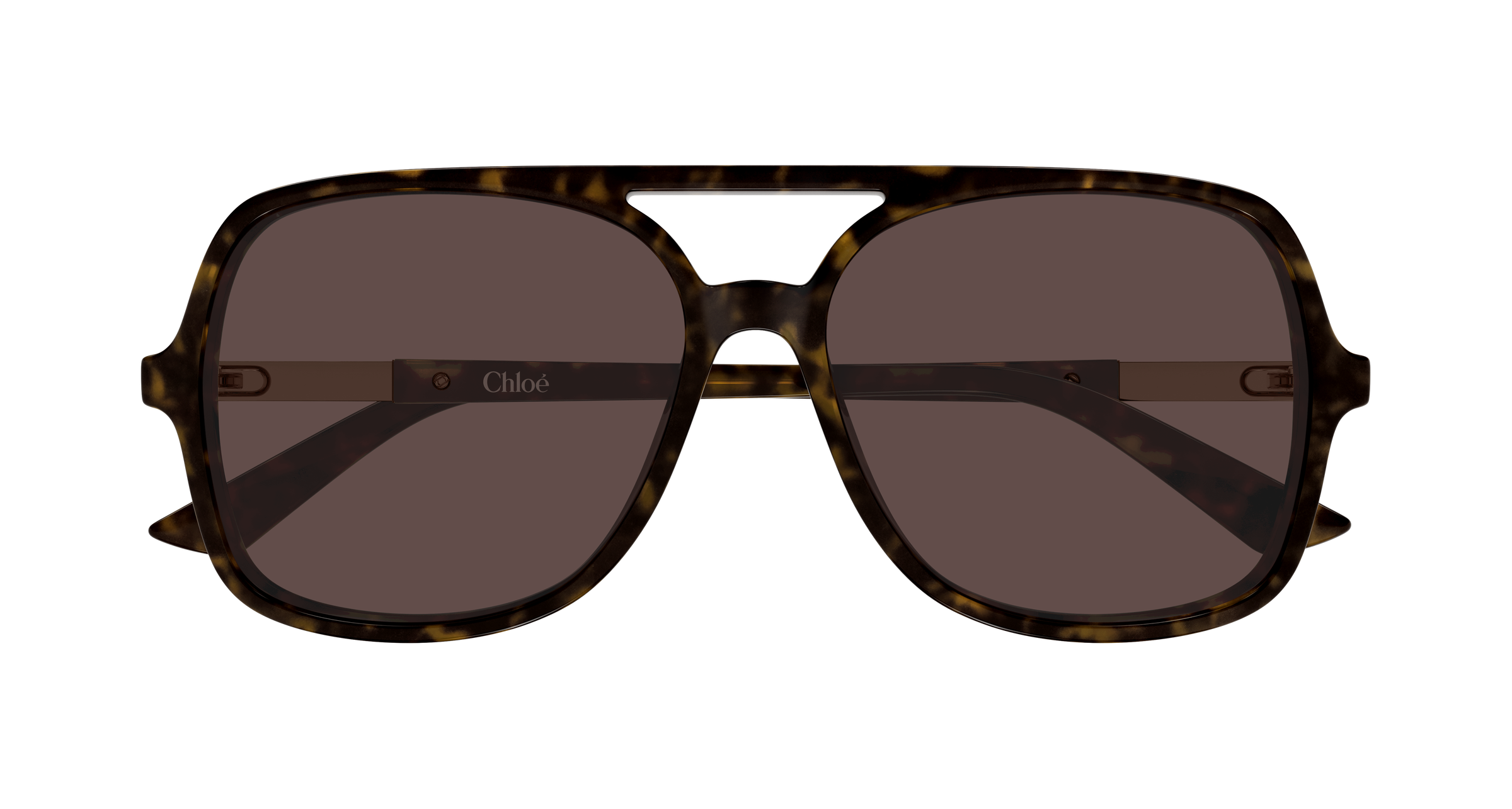 Chloé CH0364S Ecaille