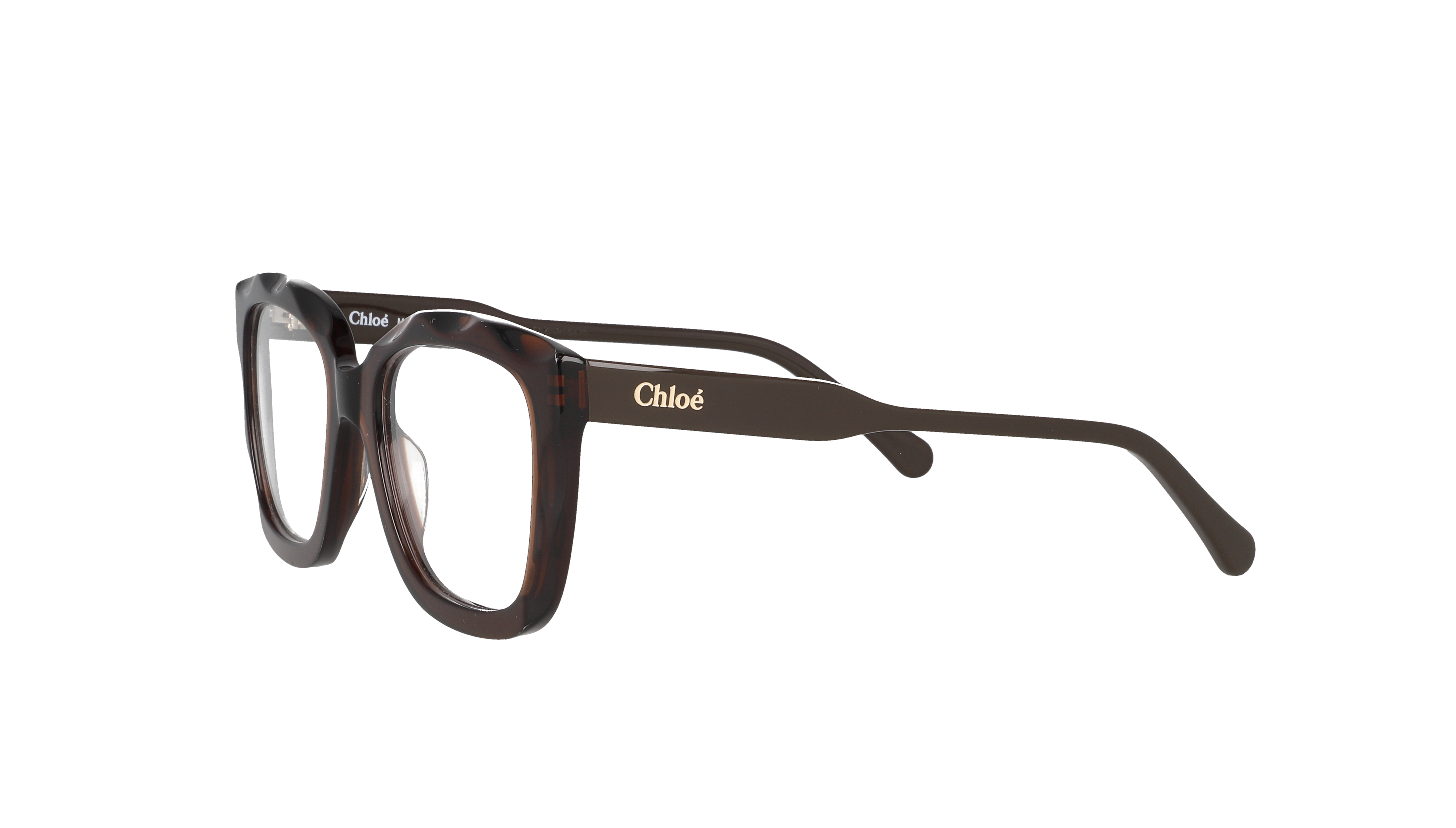 Chloé CH0229O Brun
