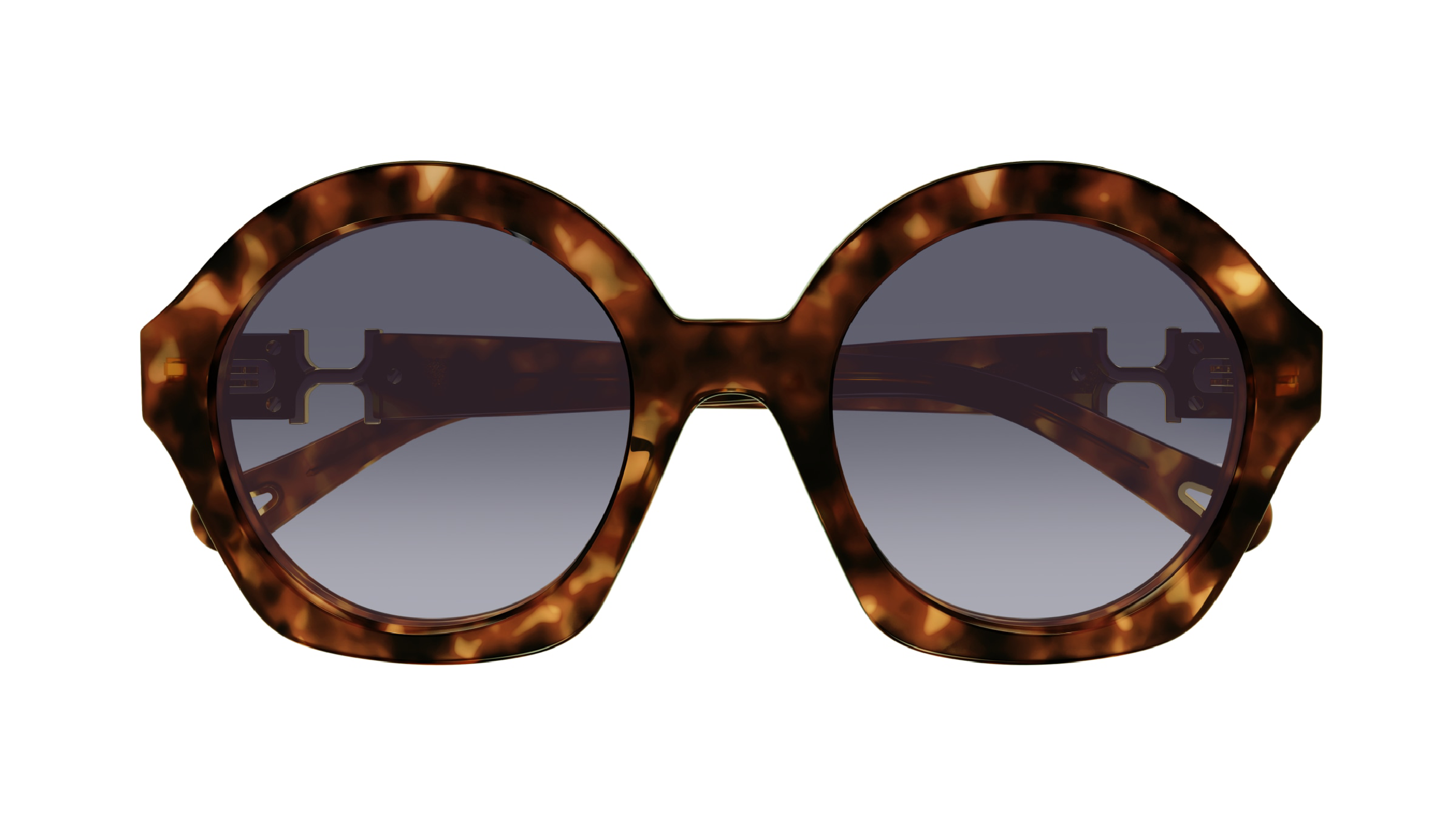 Chloé CH0302S Ecaille