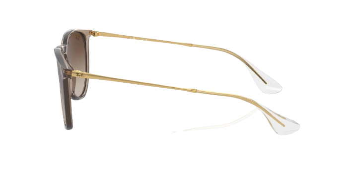 Ray-Ban ERIKA – RB4171 Brun