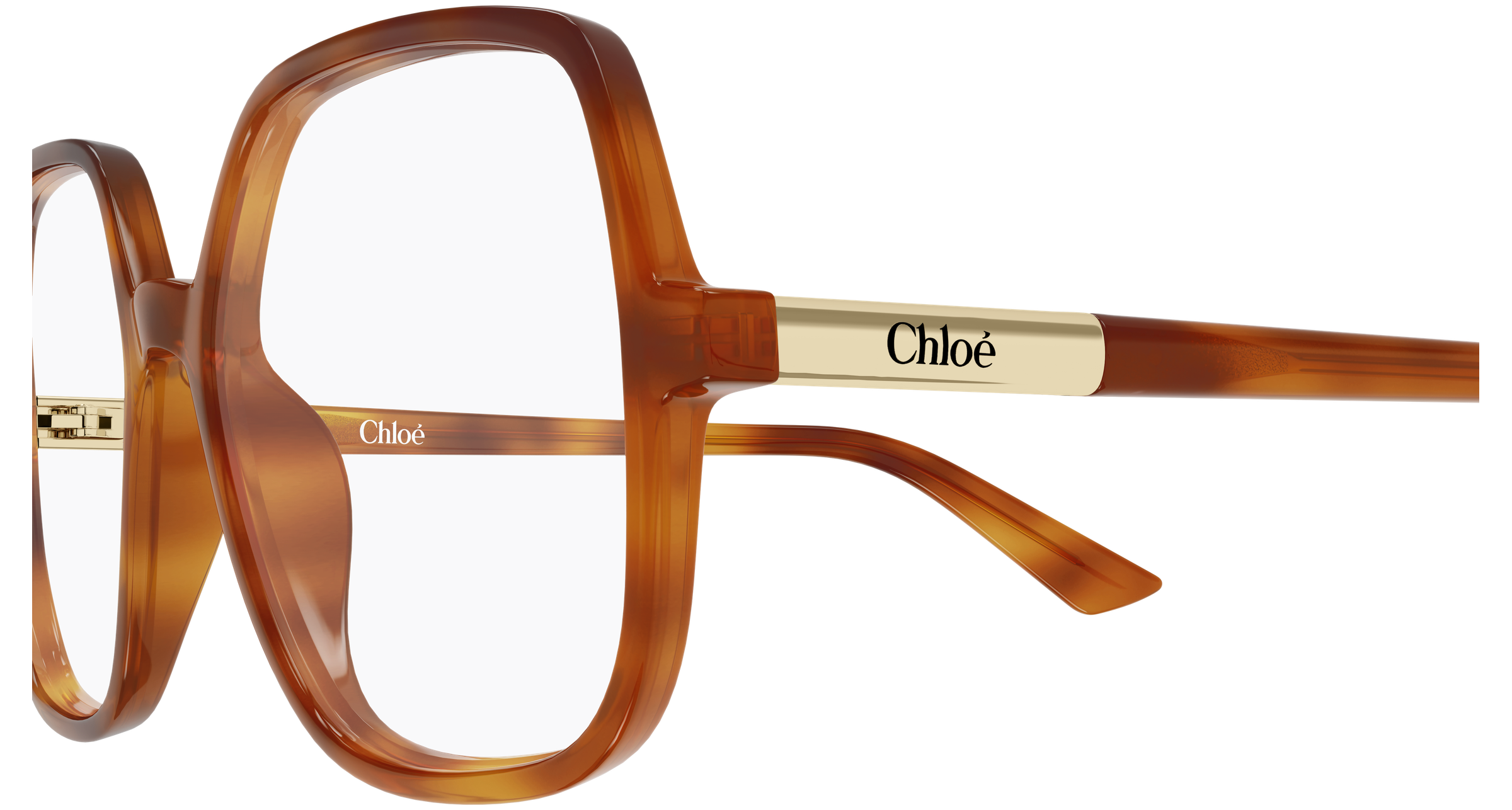 Chloé CH0368O Ecaille