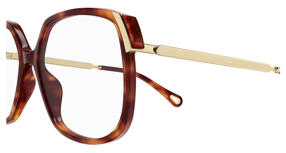 Chloé CH0287O Ecaille