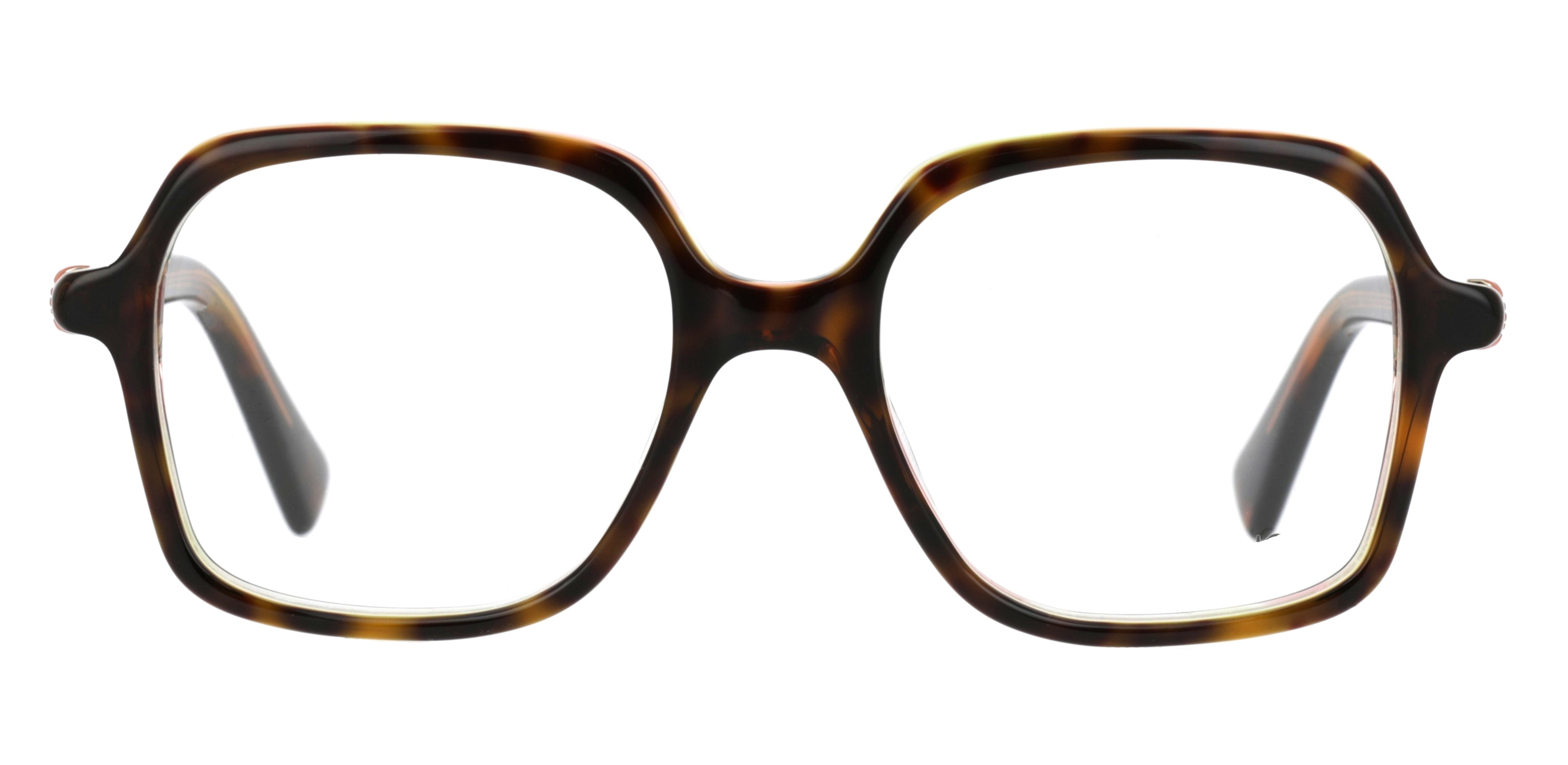 Little Paul & Joe MANEKI02 Ecaille