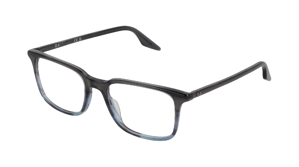 Ray-Ban RX5421 Gris