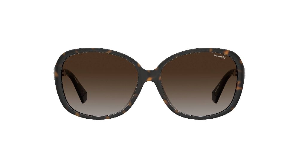 Charlie Chill S2508 Ecaille