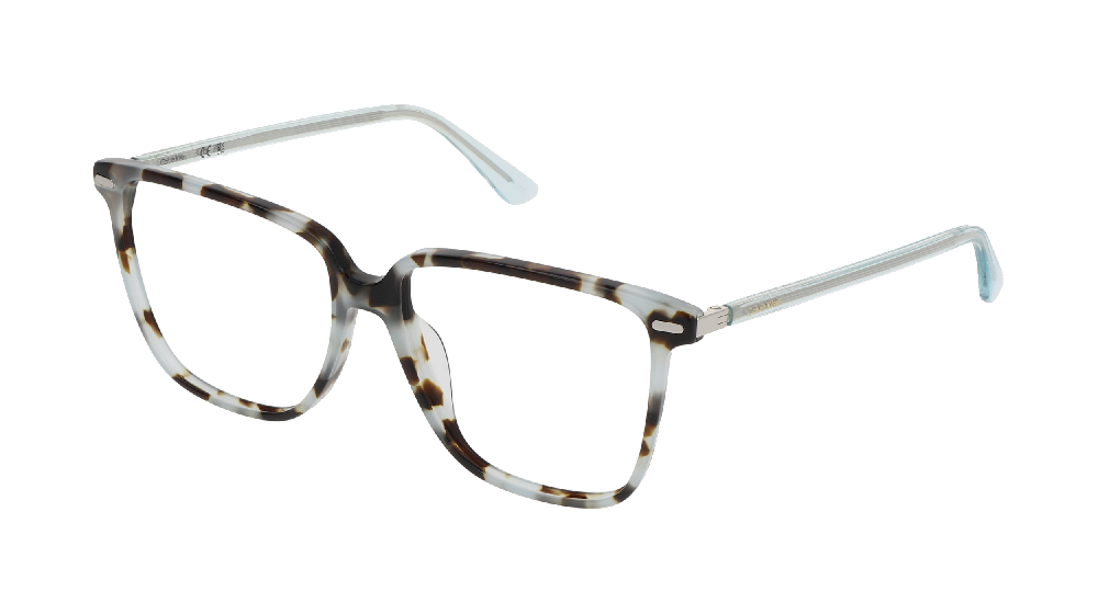 Calvin Klein CK22543N Bleu