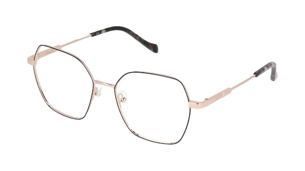 Dolce & Gabbana DG1340 Noir